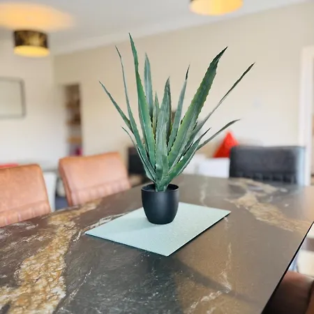 Ferienhaus Shannonview - Island Premium *